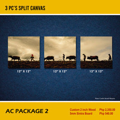 AC Package 2 - 3 pc's split canvas