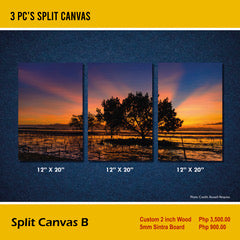 Split Canvas B - 3 pc's split canvas